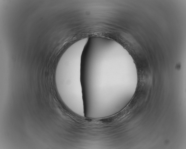 X0000090860603200707270935