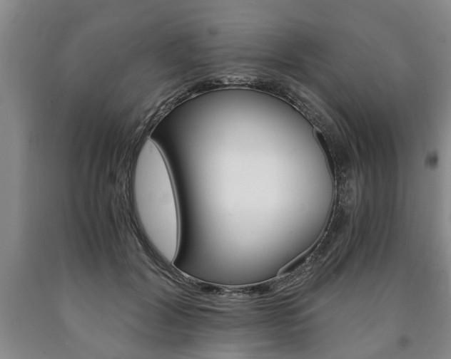 X0000090860604200707270935