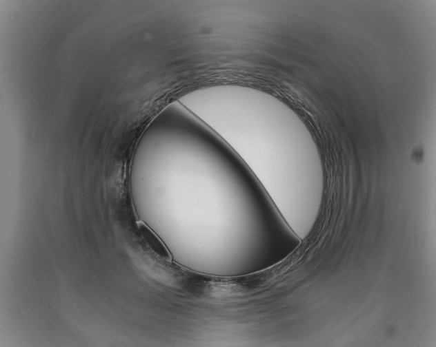 X0000090860605200707270935