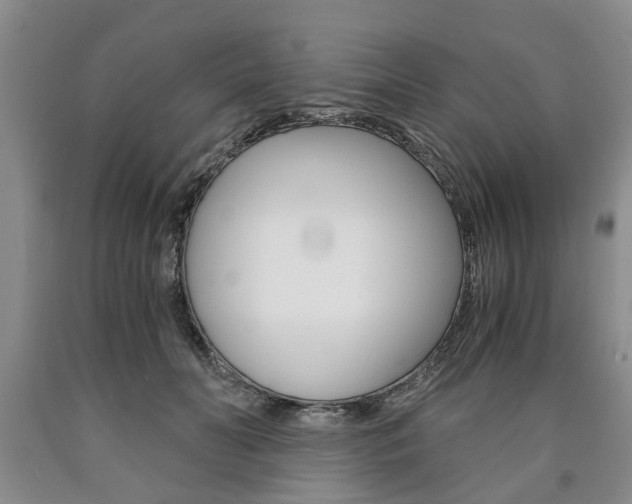 X0000090860606200707270935