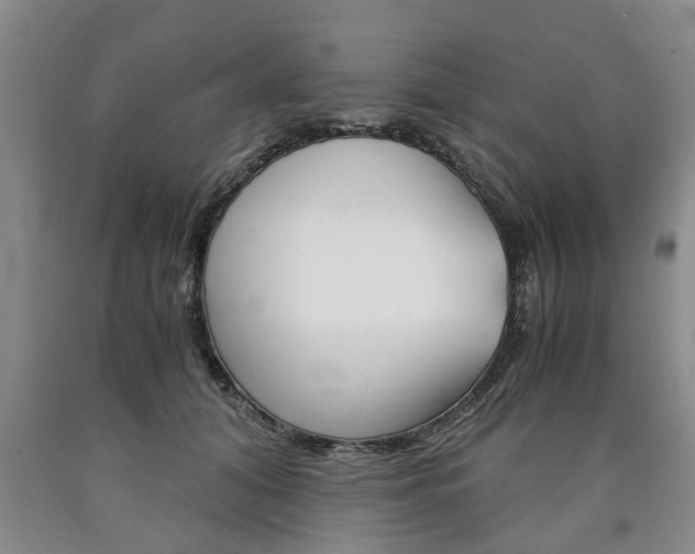 X0000090860608200707270935