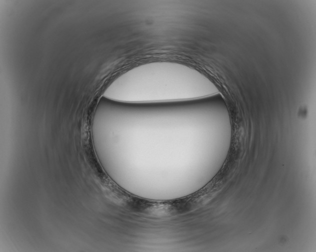 X0000090860609200707270935