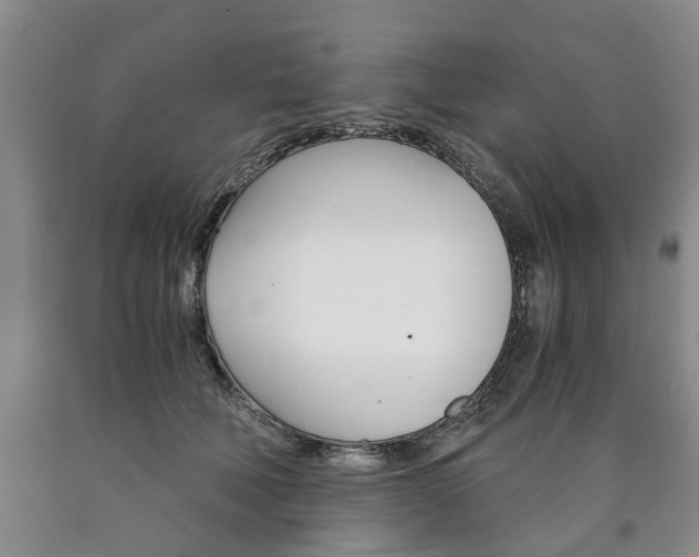 X0000090860610200707270935