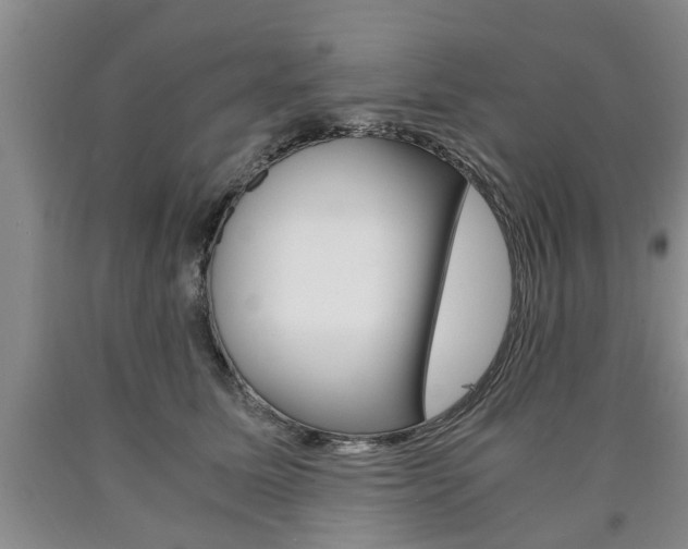 X0000090860611200707270935