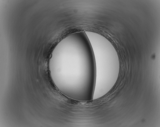 X0000090860613200707270935