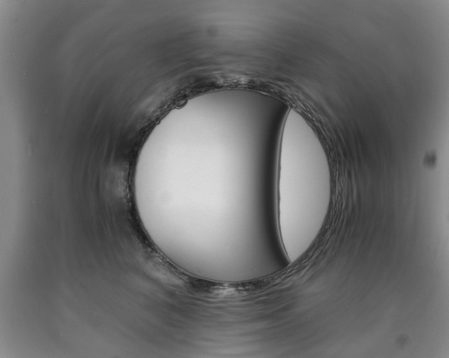 X0000090860616200707270935