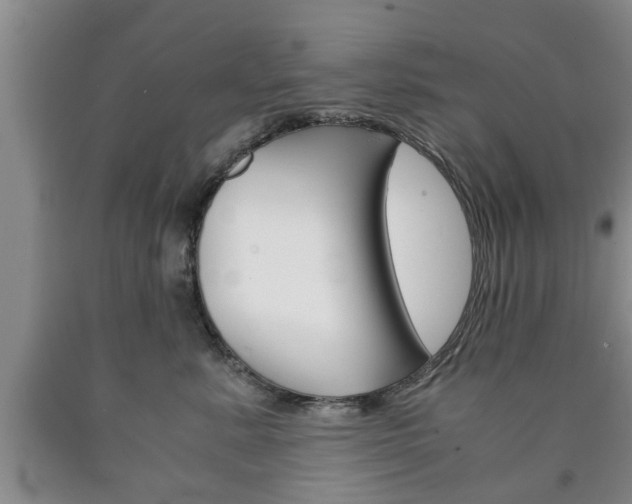 X0000090860619200707270935