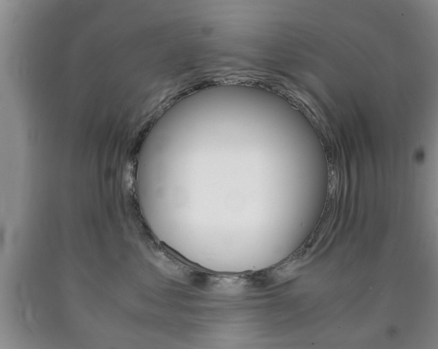 X0000090860621200707270935