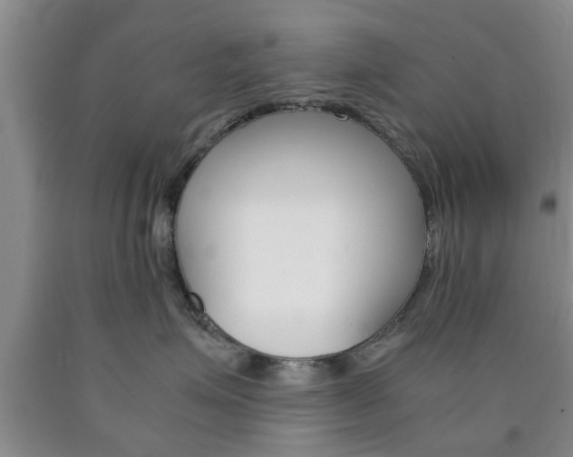 X0000090860623200707270935