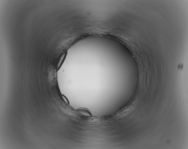 X0000090860624200707270935
