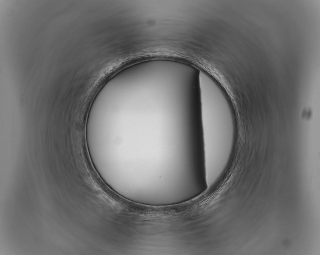 X0000090860625200707270934