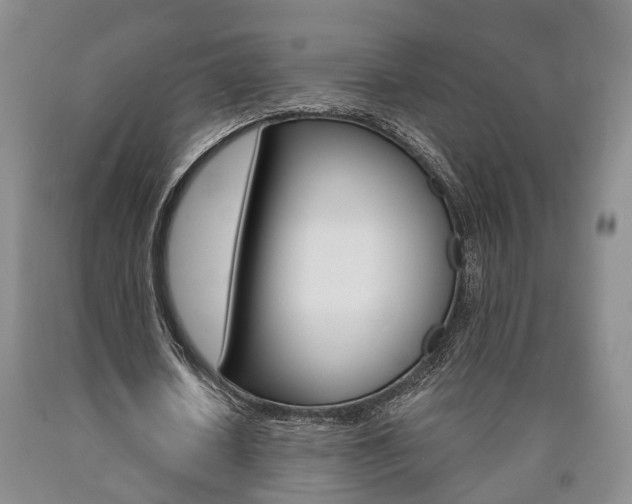 X0000090860626200707270934