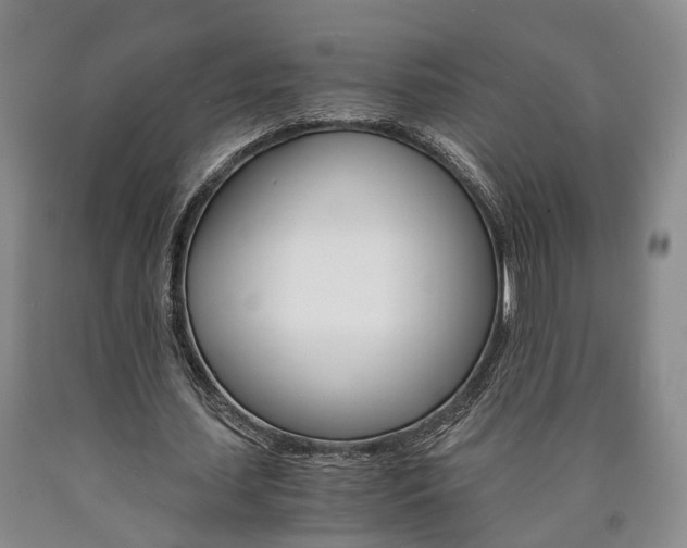 X0000090860627200707270934