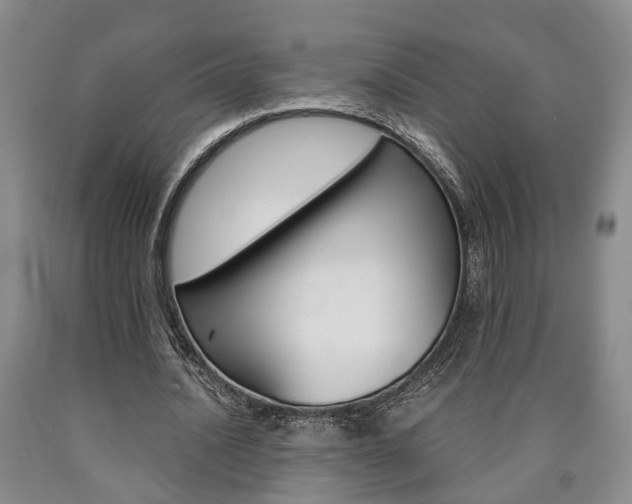 X0000090860628200707270934