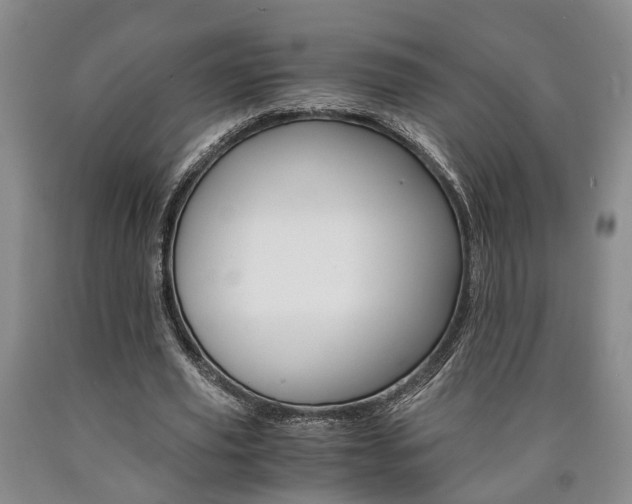 X0000090860629200707270934