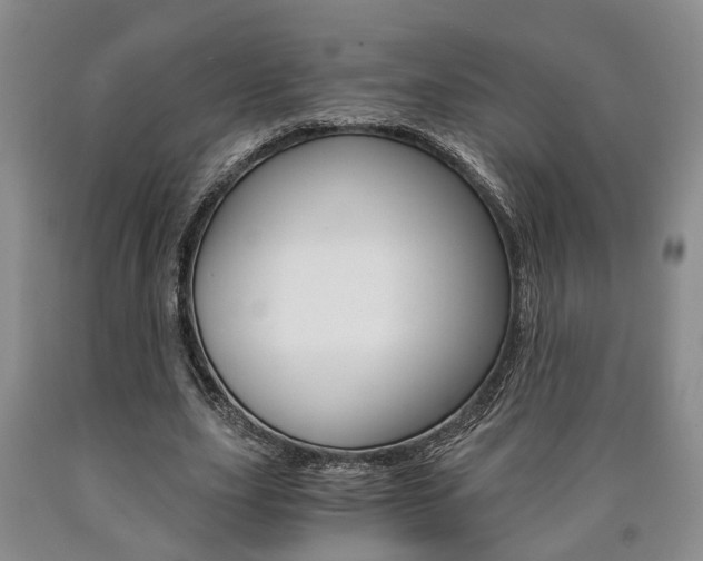 X0000090860631200707270934