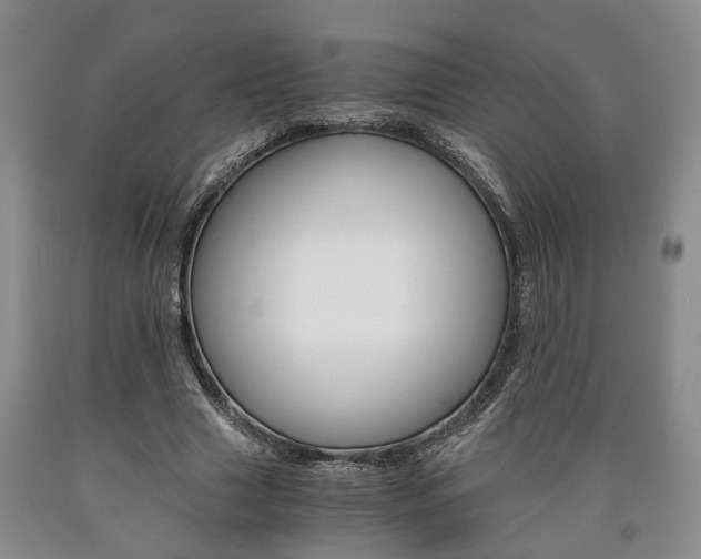 X0000090860633200707270934