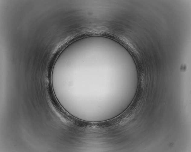 X0000090860634200707270934