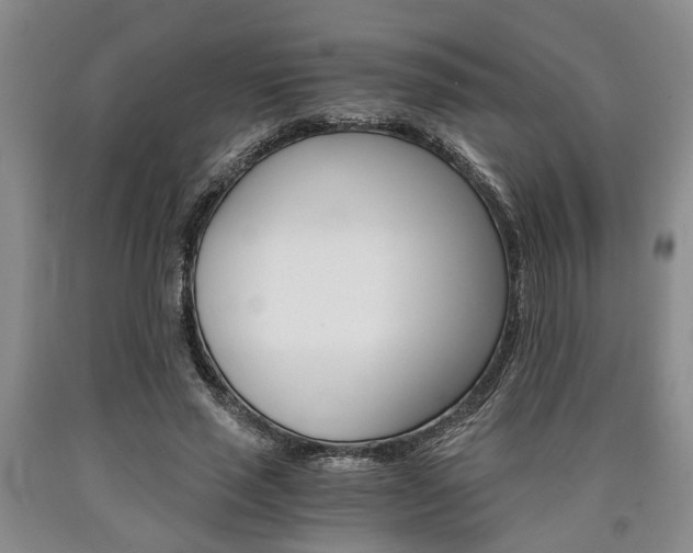 X0000090860637200707270934