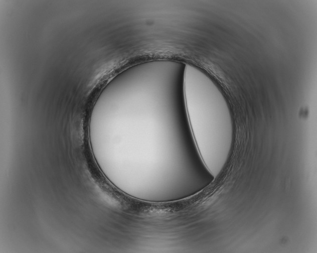 X0000090860638200707270934