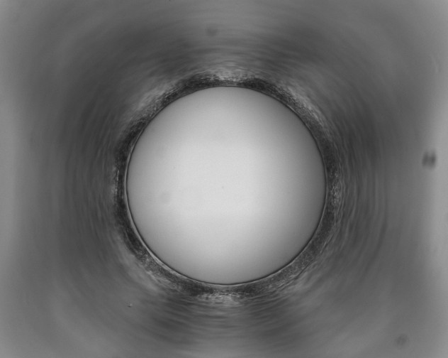 X0000090860639200707270934