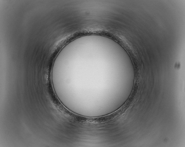 X0000090860640200707270934