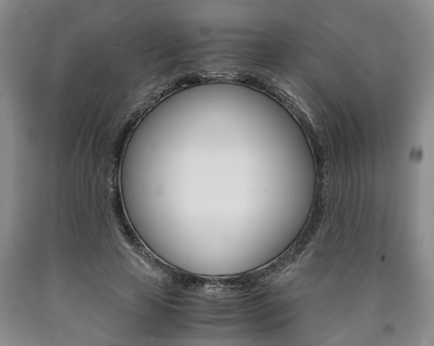 X0000090860641200707270934
