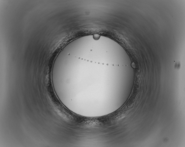X0000090860642200707270934