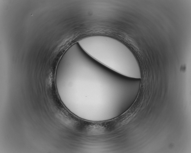 X0000090860644200707270934