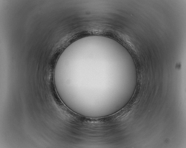 X0000090860645200707270934