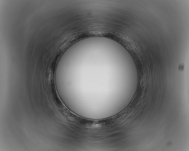 X0000090860647200707270934