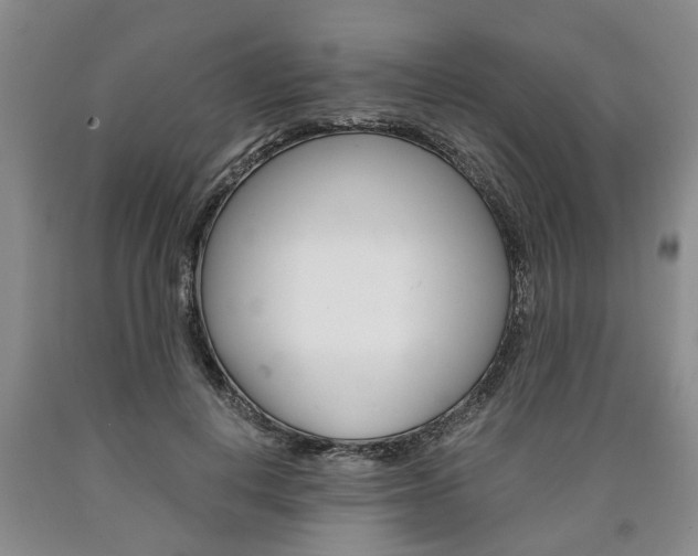 X0000090860648200707270934
