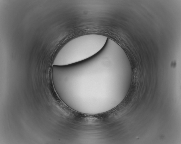 X0000090860650200707270934