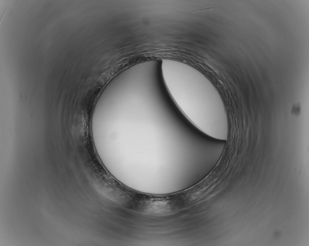 X0000090860651200707270934