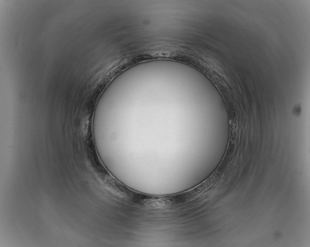 X0000090860652200707270934