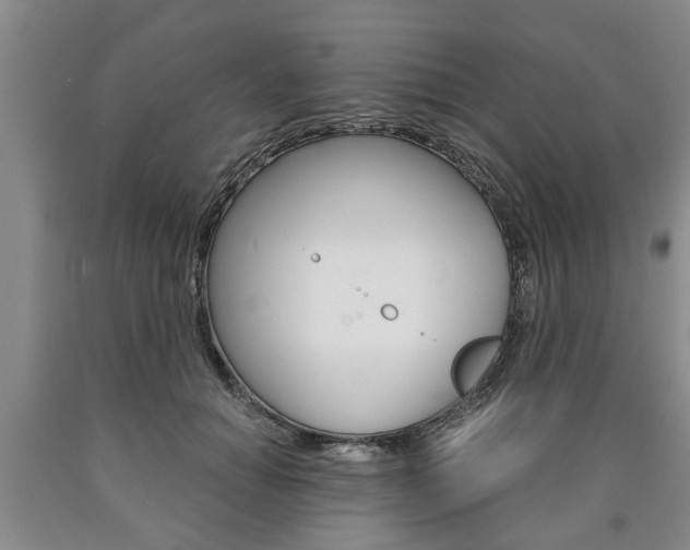 X0000090860654200707270934