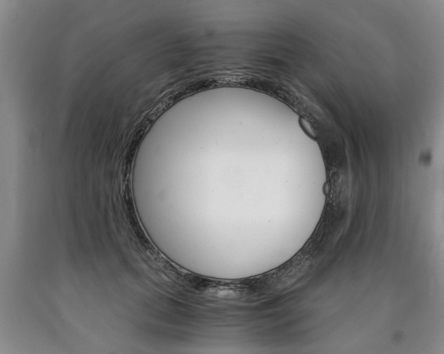 X0000090860655200707270934