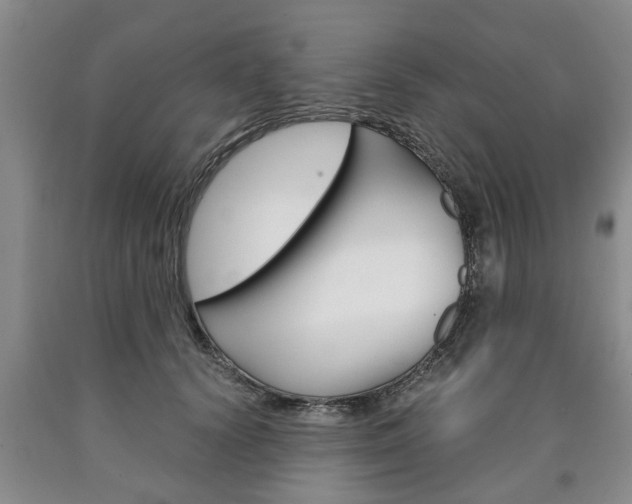 X0000090860656200707270934