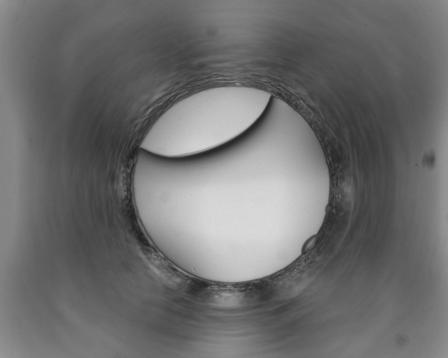 X0000090860658200707270934