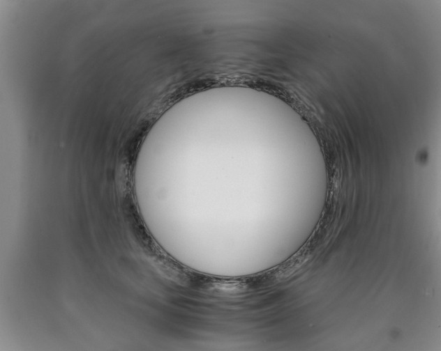 X0000090860659200707270934