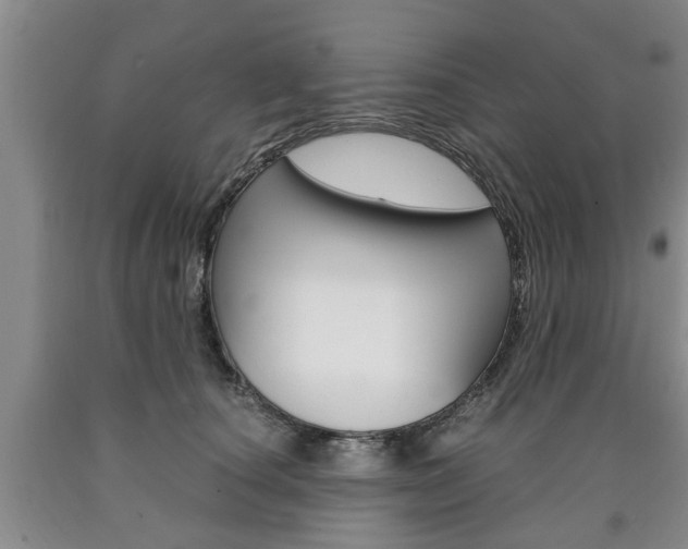 X0000090860660200707270934