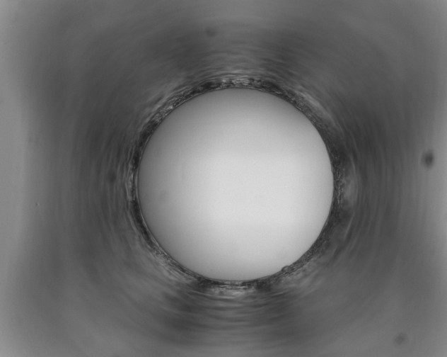 X0000090860661200707270934