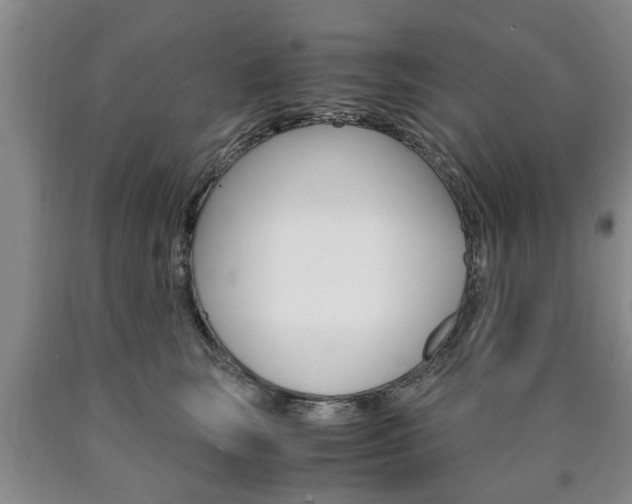 X0000090860663200707270934
