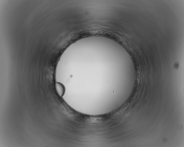 X0000090860664200707270934