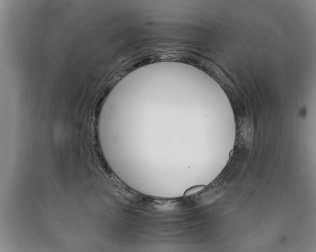 X0000090860667200707270935