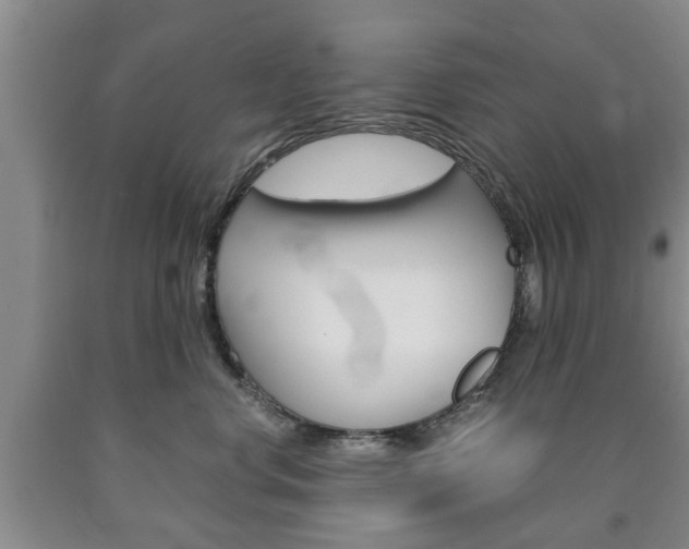 X0000090860668200707270935