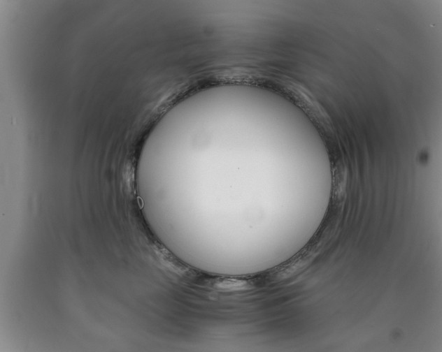 X0000090860669200707270935