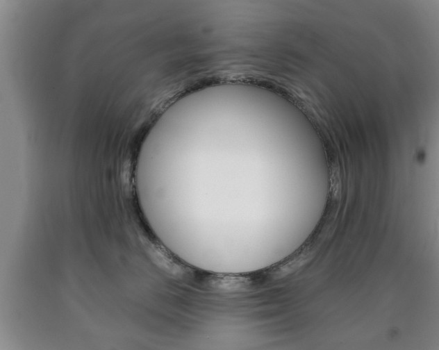 X0000090860670200707270935