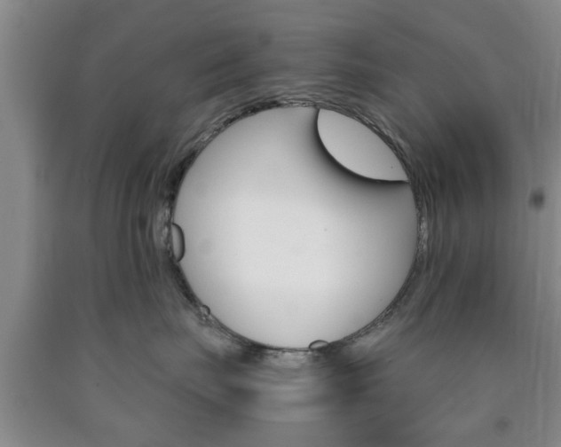 X0000090860671200707270935