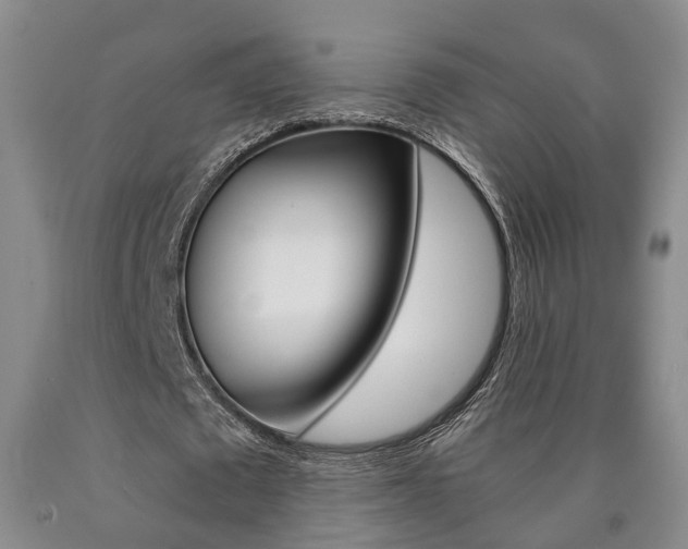 X0000090860673200707270934